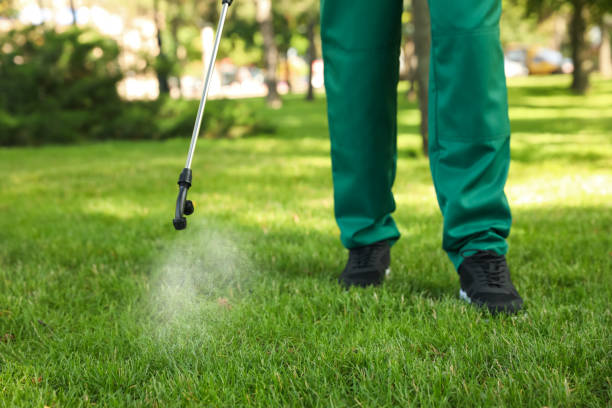 Wildlife Control Services in Dundee, FL