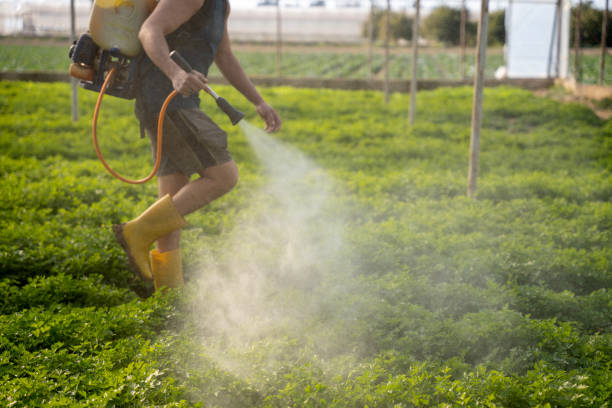 Best Wildlife Control Services  in Dundee, FL