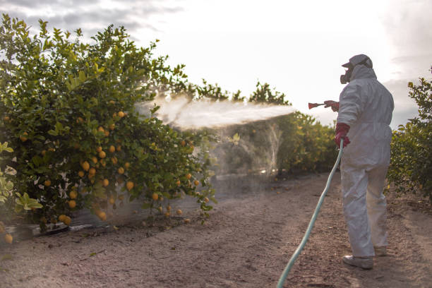 Best Pest Inspection Near Me  in Dundee, FL