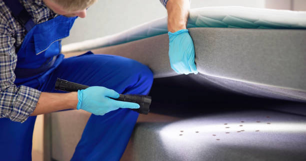 Dundee, FL Pest Control Company