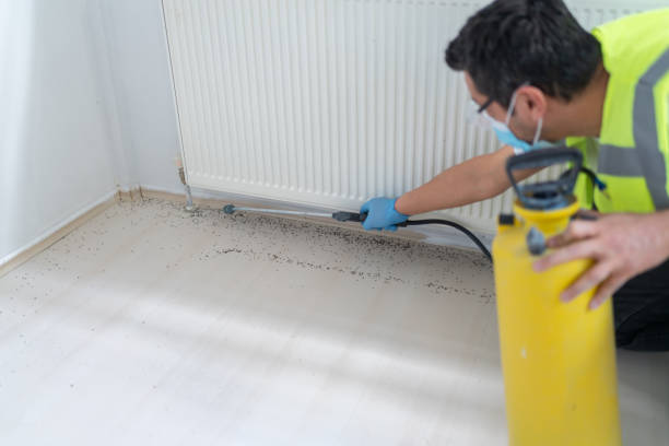 Best Commercial Pest Control Services  in Dundee, FL