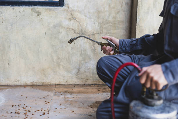 Best Best Pest Control Companies  in Dundee, FL