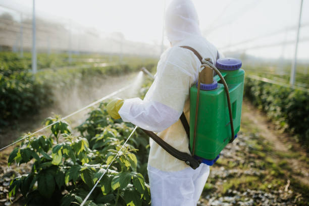 Best Local Pest Control Services  in Dundee, FL